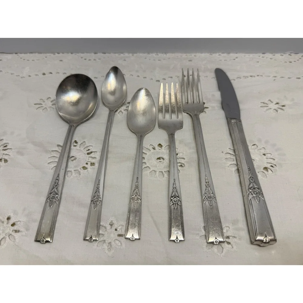 Vintage Silver Plated Flatware Set 36pc Floral Pattern Naken Tarnish Proof Chest